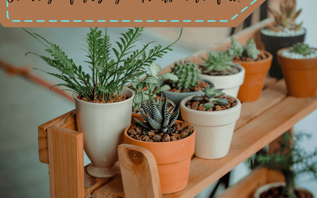 Should You Fertilize Plants In The Fall BackyardPatioLife