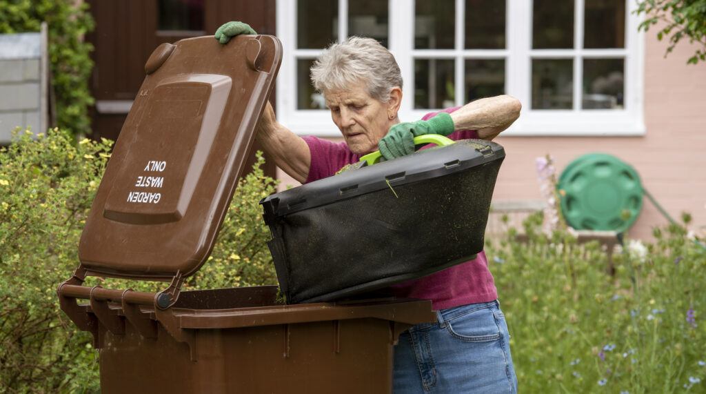 compost bin