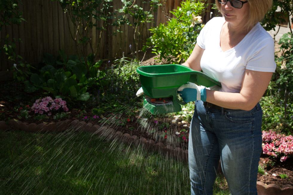 Should You Fertilize Plants In The Fall BackyardPatioLife