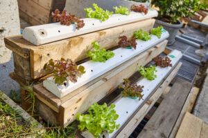 types of hydroponics systems for a backyard