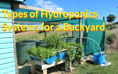 types of hydroponics systems for a backyard