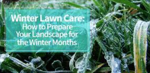 How to Maintain Lawn in Winter