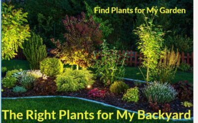 Find Plants for My Garden: The Right Plants for My Backyard