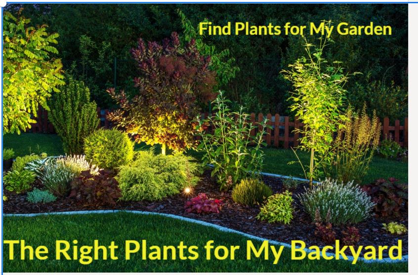 the right plants for my backyard