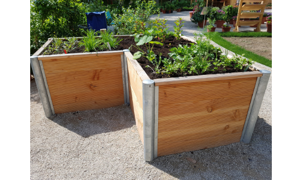 Elevated plant box