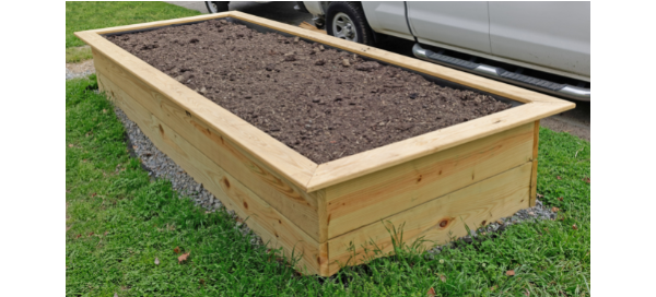 Garden box full of soi