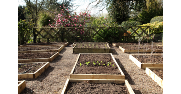 Preparing garden beds for panting