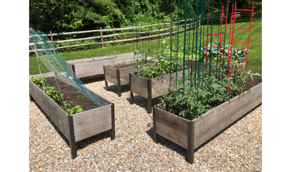 Raised beds with special features
