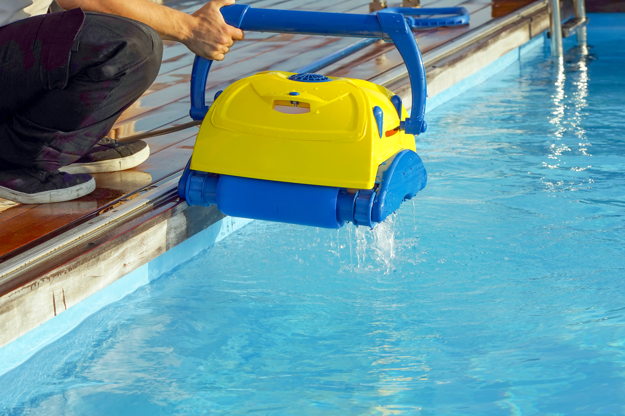 DOLPHIN Pool Cleaner