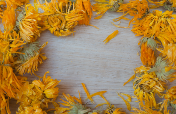 Dried Marigold flowers