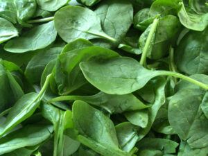 fresh-spinach-leaves 