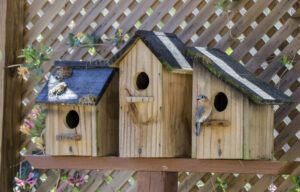 nest boxes