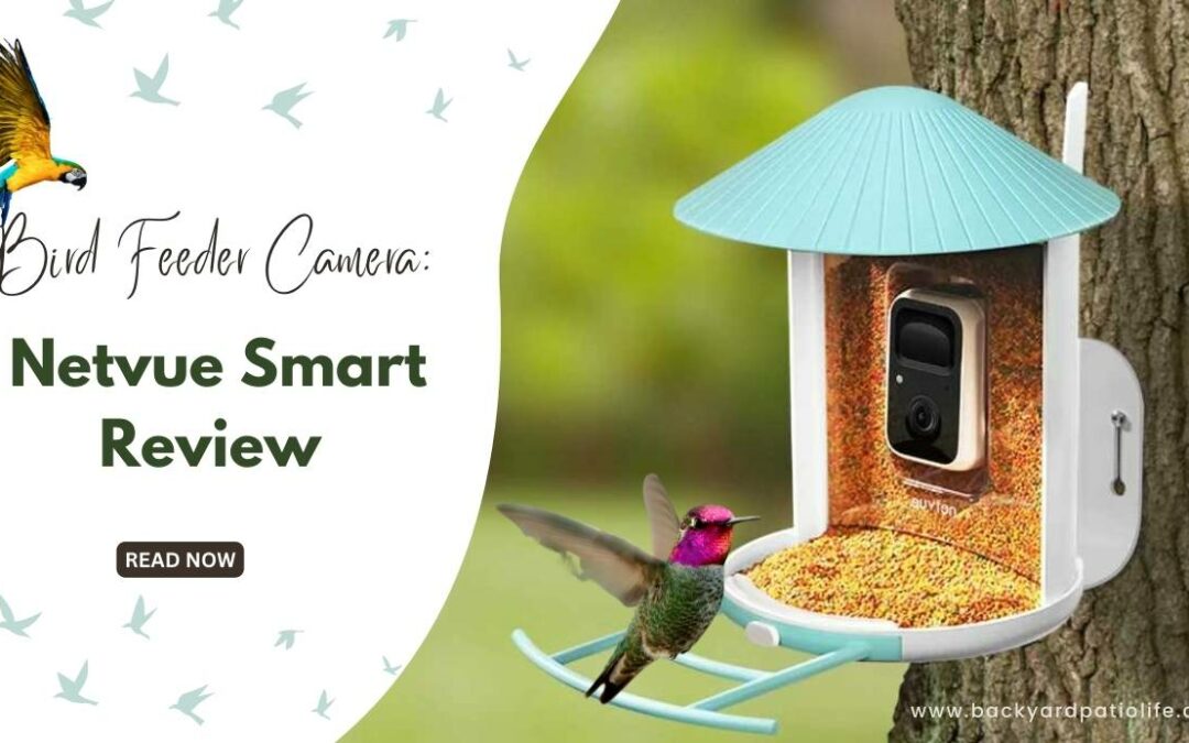 Bird Feeder Camera: Netvue Smart Review
