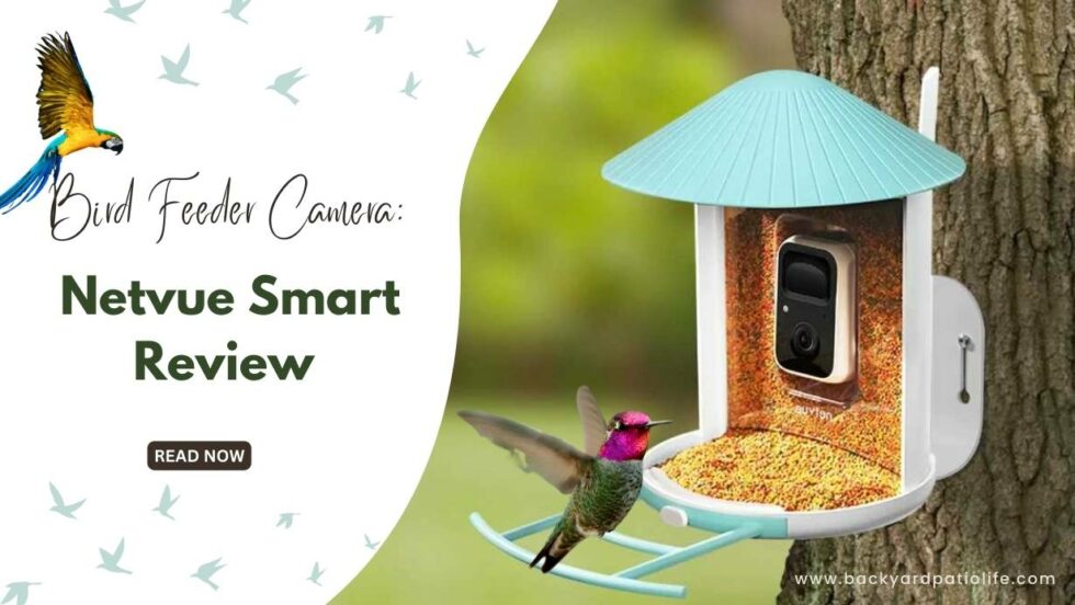 Bird Feeder Camera Netvue Smart Review BackyardPatioLife