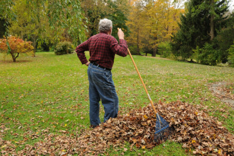 Rake Leaves Or Leave Them - BackyardPatioLife