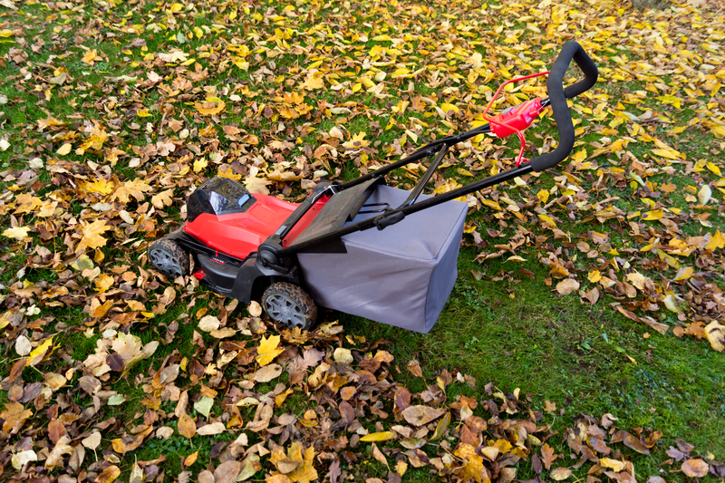 lawn care in the fall