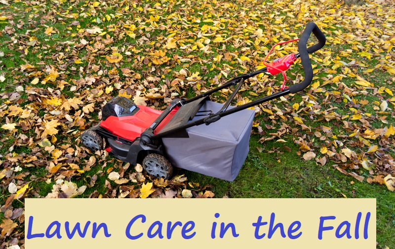 10 Tips for Lawn Care in the Fall