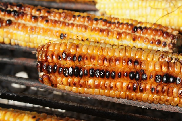 barbecue, corn, fresh