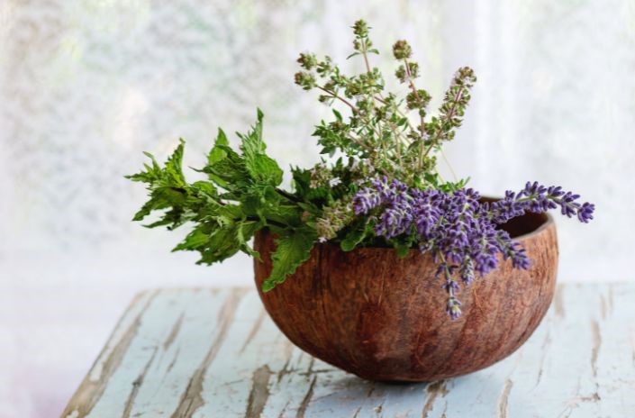 Plant Some Lavender or Mint – or Even Both!