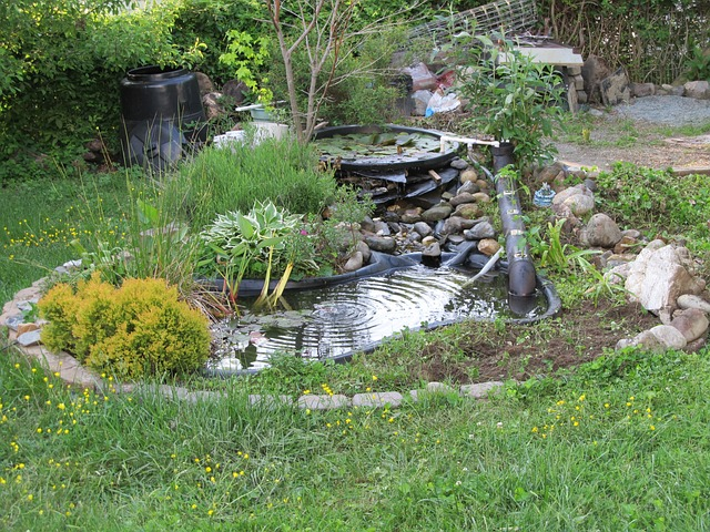 pond, backyard, garden