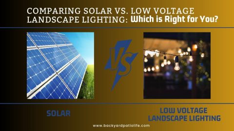 Comparing Solar vs. Low Voltage Landscape Lighting Which is Right for You?