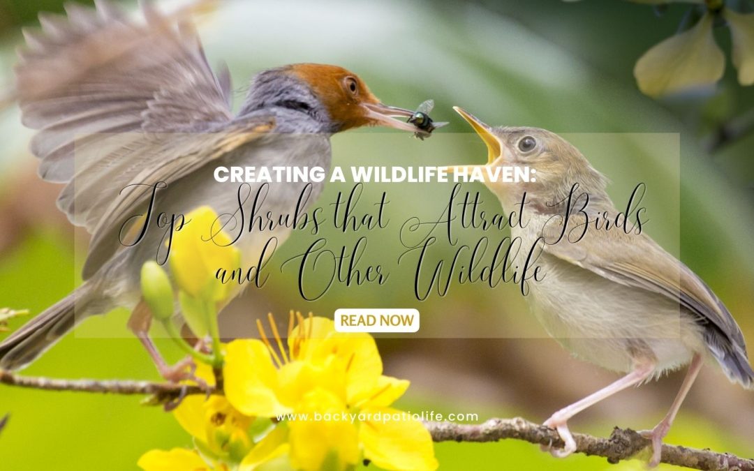 Creating a Wildlife Haven: Top Shrubs that Attract Birds and Other Wildlife