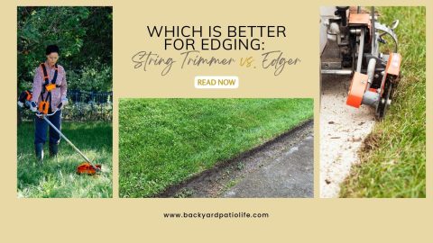 Which is Better for Edging: String Trimmer vs. Edger - BackyardPatioLife