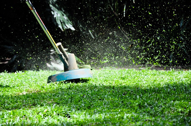 Types of Lawn Trimmers